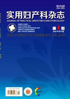 实用妇产科封面